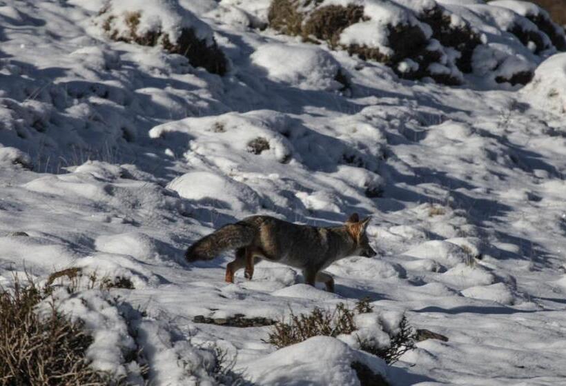 Río Serrano Hotel + Spa