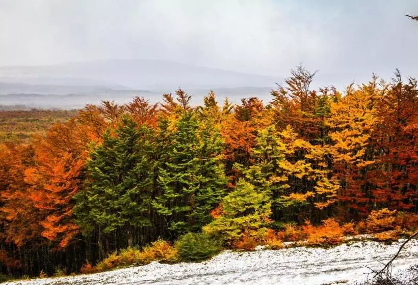 Río Serrano Hotel + Spa