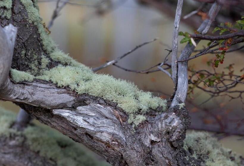 Río Serrano Hotel + Spa
