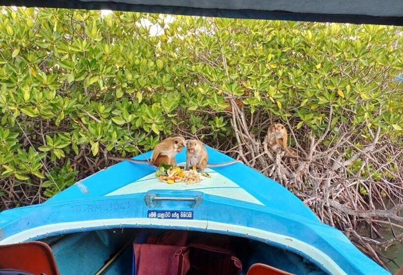 ベッドアンドブレックファースト Couple Rooms In Negombo