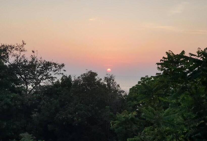 Tommy Resort Koh Tao