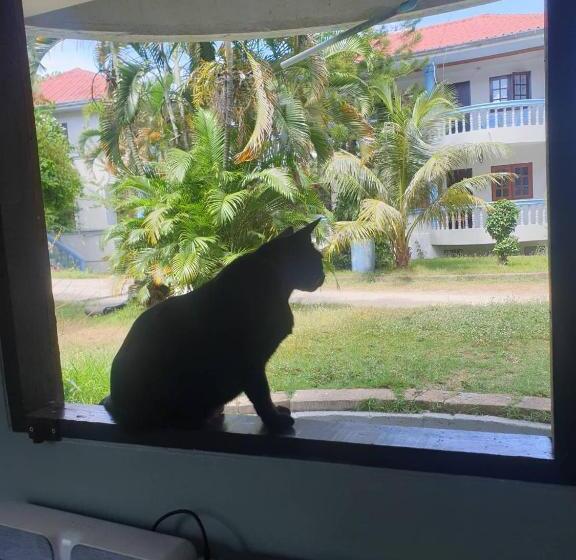 Tommy Resort Koh Tao