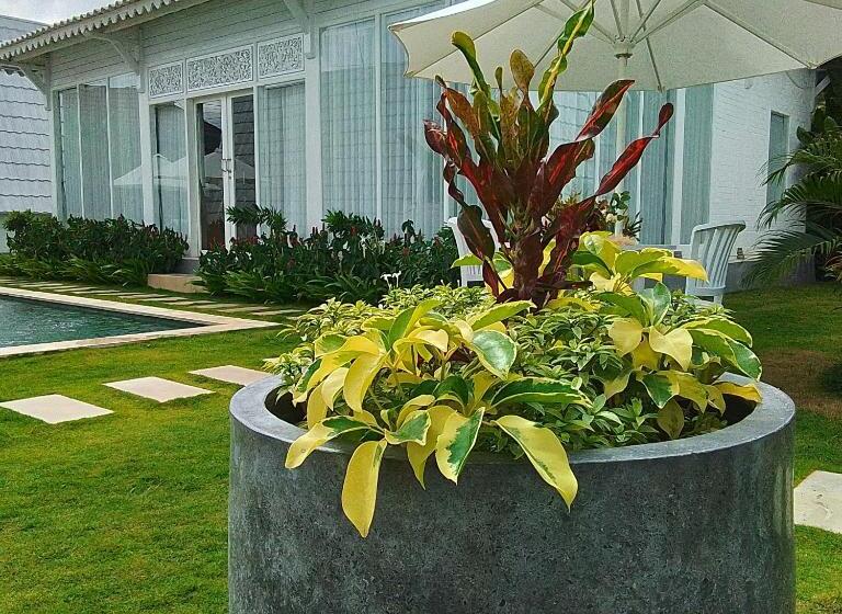 Bed and Breakfast Piramida S White Villa S Bali Joglo