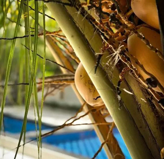 ホテル Hakuna Matata Resort Gili Air