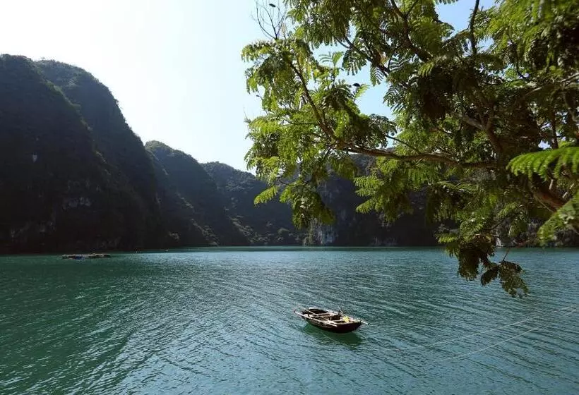 هتل Cat Ba Cruise