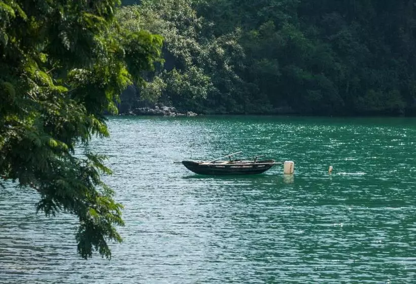 هتل Cat Ba Cruise