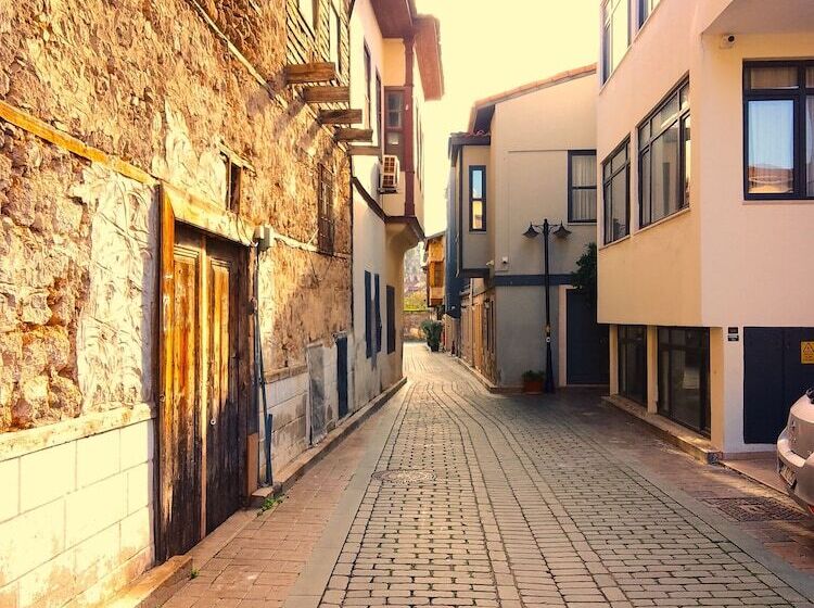 ホテル Alp Pasa Gazetta   Special Class