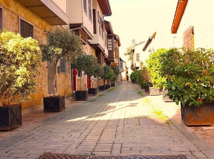 ホテル Alp Pasa Gazetta   Special Class