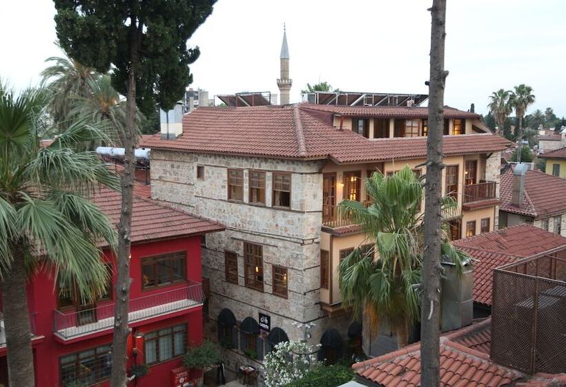 ホテル Alp Pasa Gazetta   Special Class