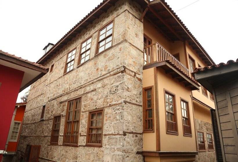 ホテル Alp Pasa Gazetta   Special Class