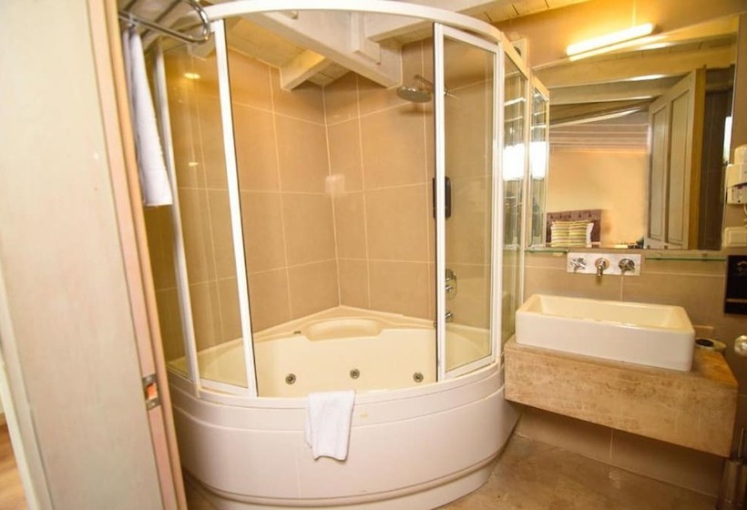 ホテル Alp Pasa Gazetta   Special Class