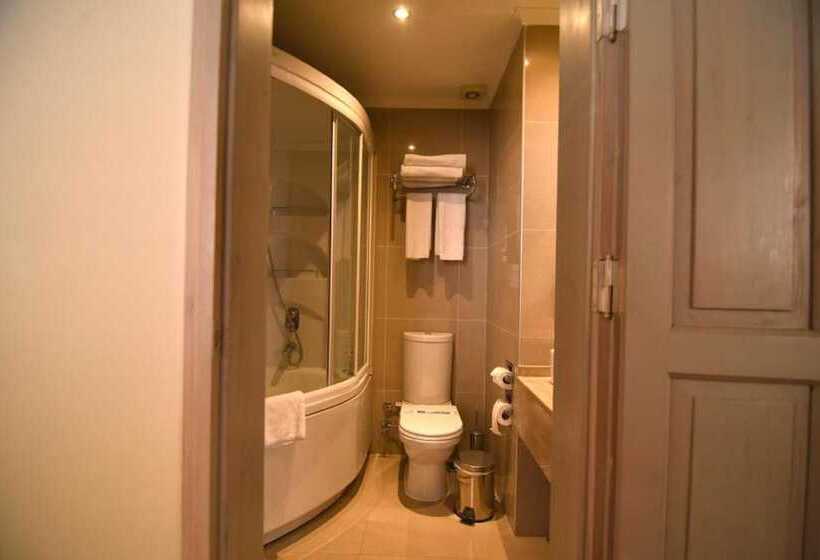 ホテル Alp Pasa Gazetta   Special Class