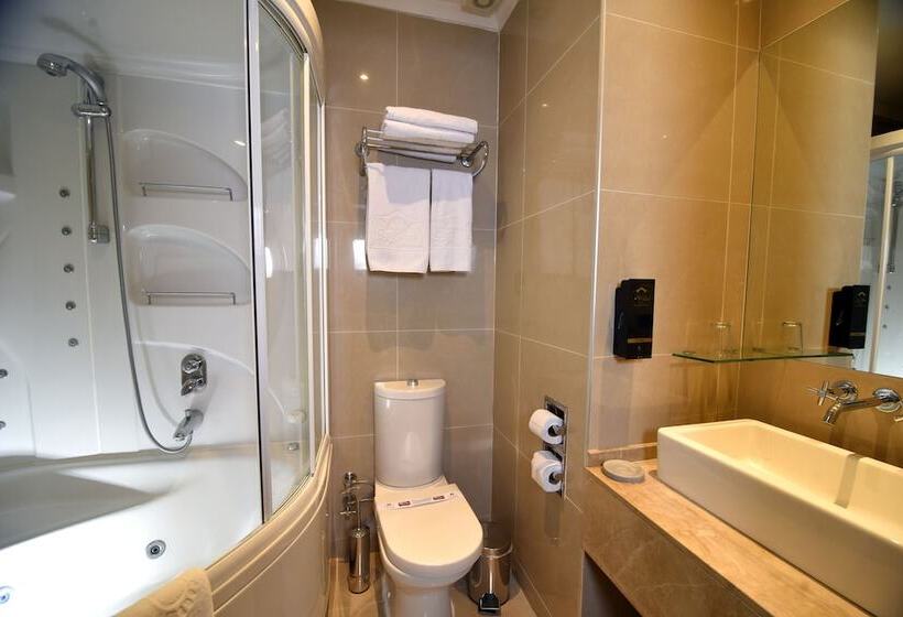 ホテル Alp Pasa Gazetta   Special Class