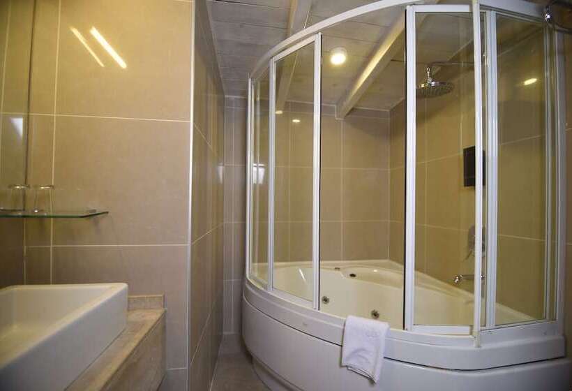 ホテル Alp Pasa Gazetta   Special Class