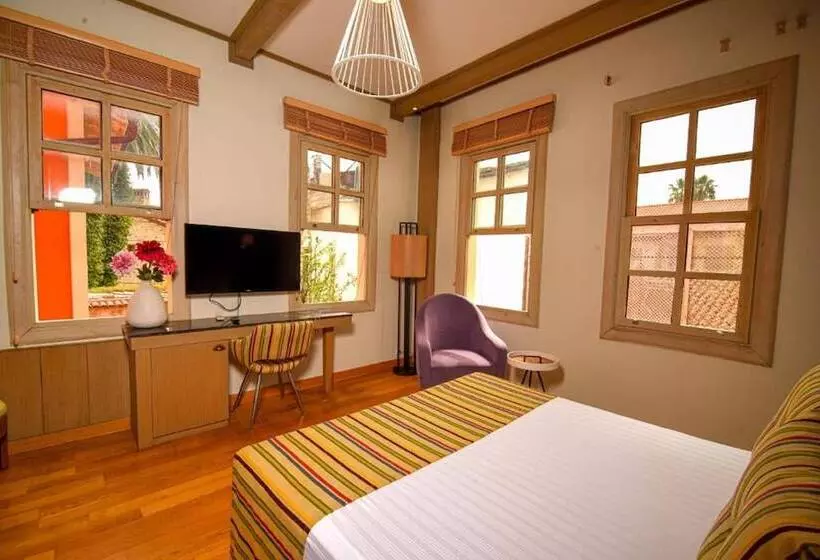 Hotelli Alp Pasa Gazetta   Special Class