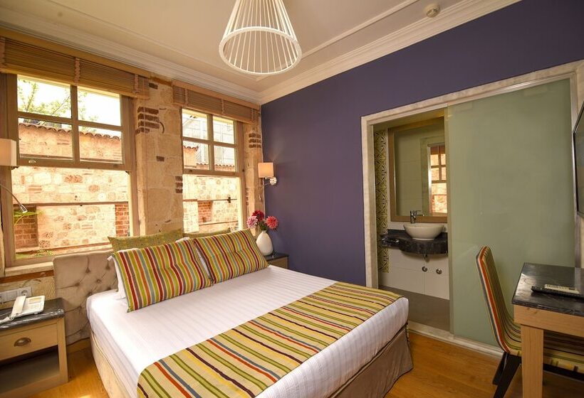 ホテル Alp Pasa Gazetta   Special Class