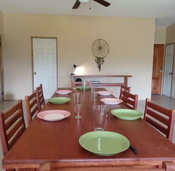 هاستل Dragon S Garden