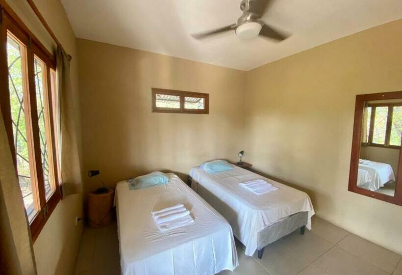 هاستل Dragon S Garden