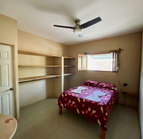 هاستل Dragon S Garden