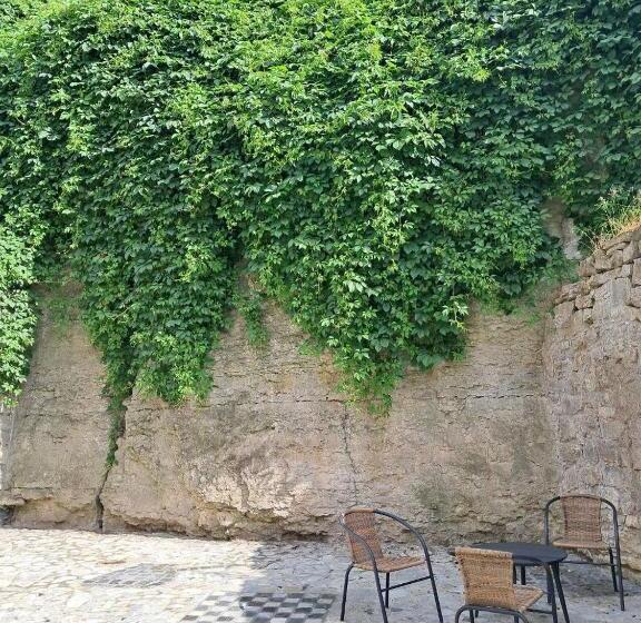 膳宿费 гостьовий дім білий пацюк