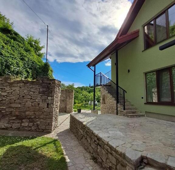 膳宿费 гостьовий дім білий пацюк