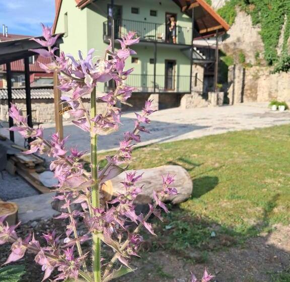 膳宿费 гостьовий дім білий пацюк