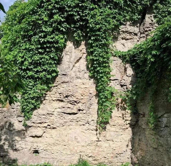 Majatalo гостьовий дім білий пацюк