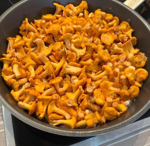 פנסיון Penzion U Zemanů Nové Hrady