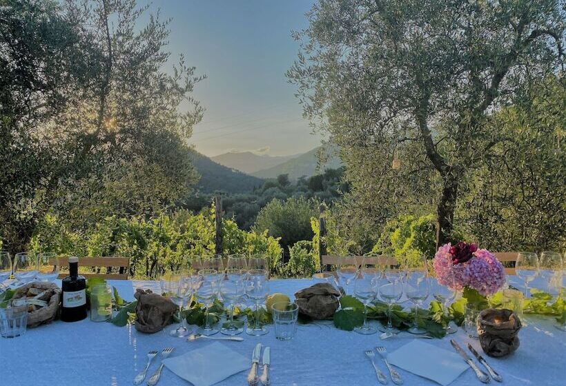 تختخواب و صبحانه Tenuta Di Tramonte Boutique