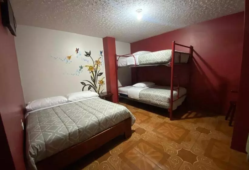 پانسیون Hostal Mollitiam