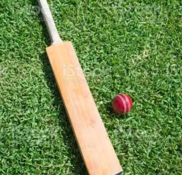 Stay On The Way Resort Mandwa Alibag