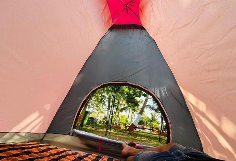 Stay On The Way Resort Mandwa Alibag