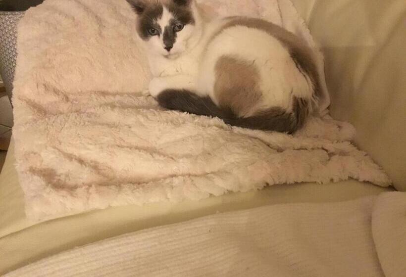 Bed and Breakfast B And B Chambres D’hôtes 24 H Du Mans Et Le Mans Classic