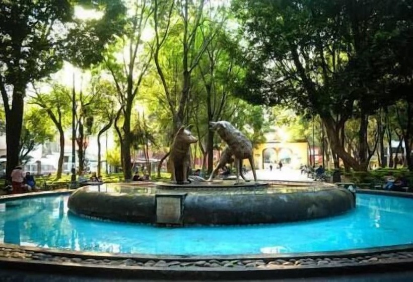 تختخواب و صبحانه Casa Frida Coyoacan