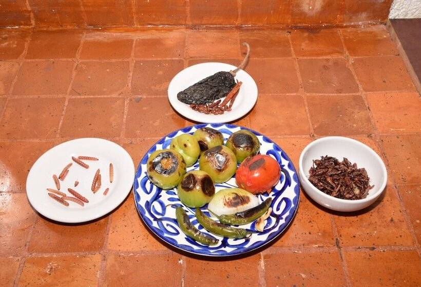 تختخواب و صبحانه Casa Frida Coyoacan