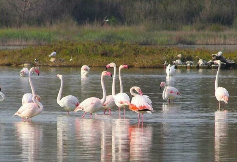 민박 Palazzo Primitivo Casa Vacanze