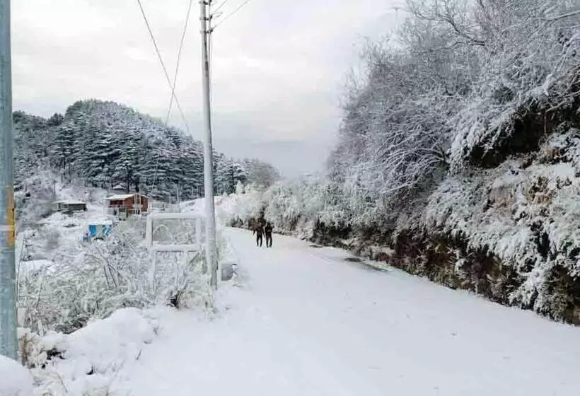 ホテル Dhanolti View By La Riqueza   Welcome New Year With Fresh Snowfall