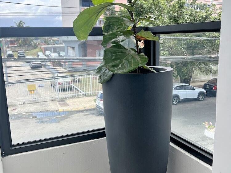 هتل La Calma Poshtel