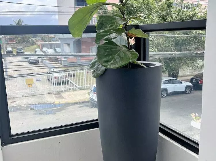 هتل La Calma Poshtel