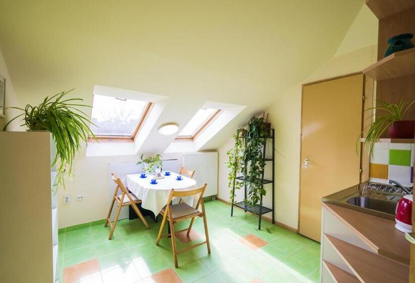 Squash Apartments & Studios