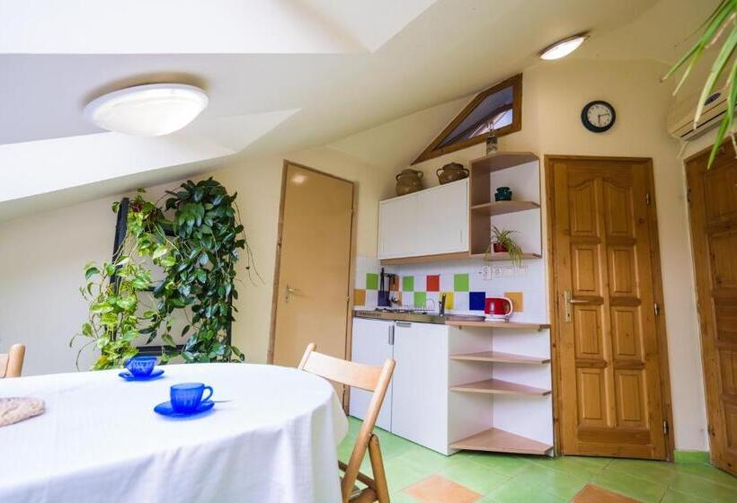 Squash Apartments & Studios