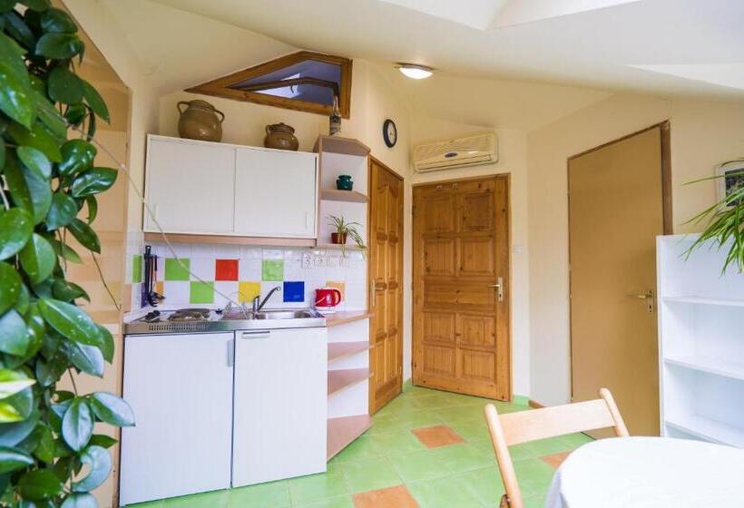 Squash Apartments & Studios