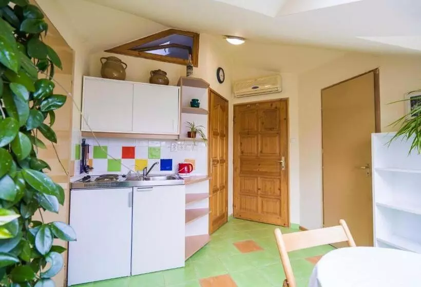 Squash Apartments & Studios