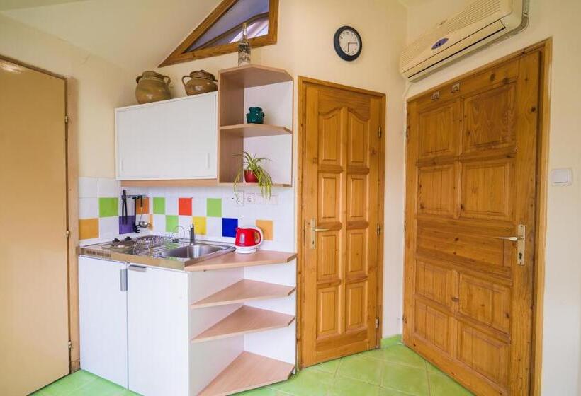 Squash Apartments & Studios