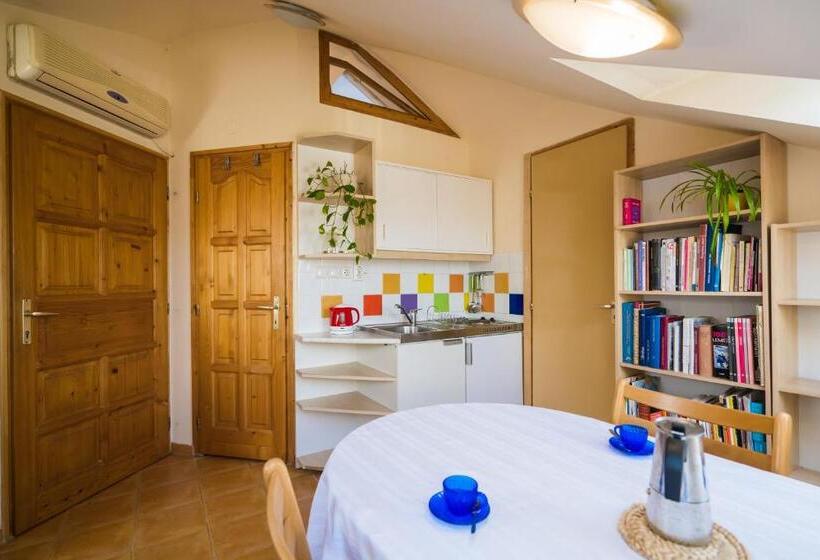 Squash Apartments & Studios