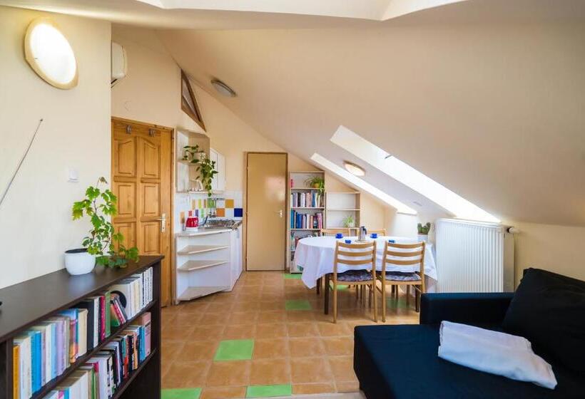 Squash Apartments & Studios