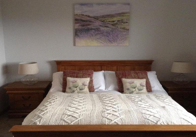 Bed and Breakfast Ronan House