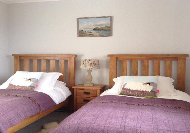 Bed and Breakfast Ronan House