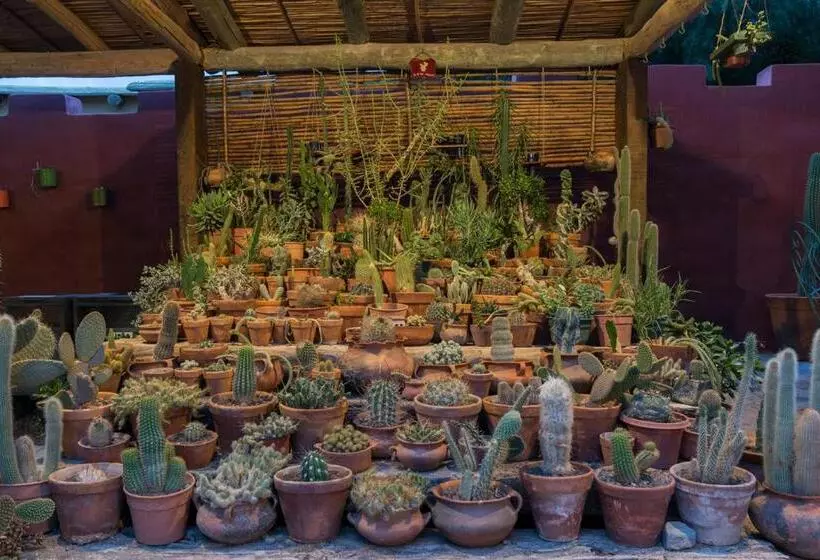 Herberg Posta De Purmamarca