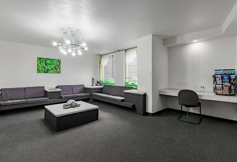 هتل Ayenda Hidalgo